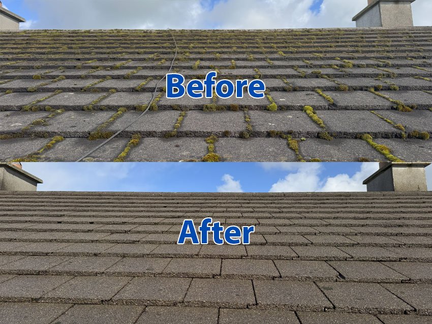 Transform Your Roof with Our Soft Wash – Before & After!